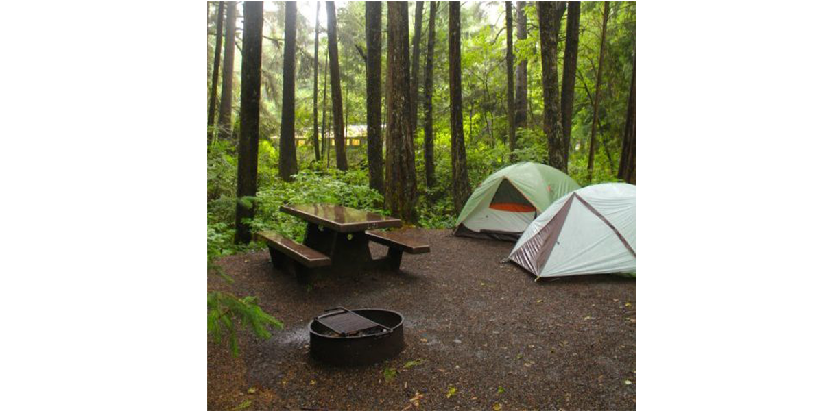 Camping Laws In Washington